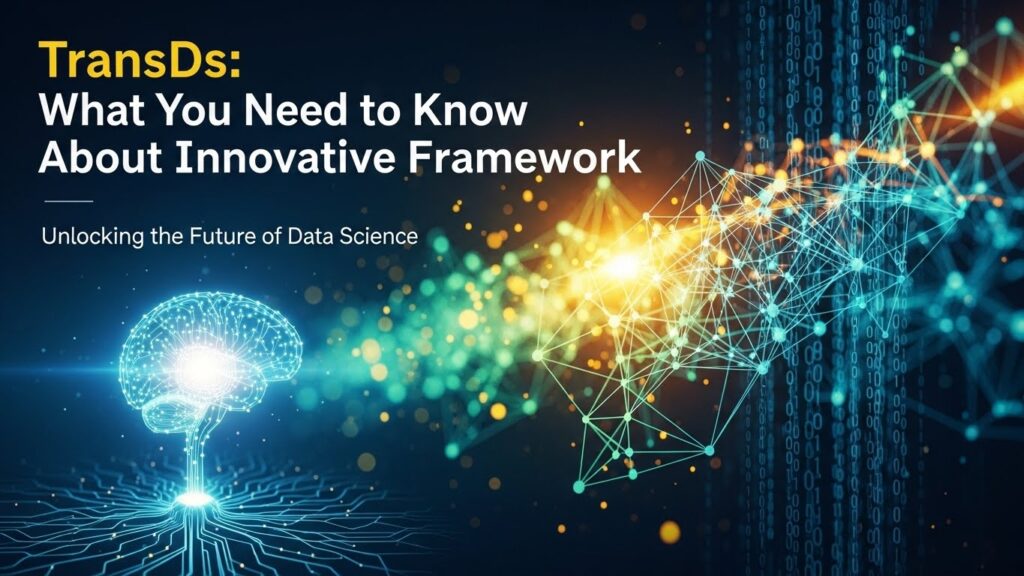 Transds: What You Need to Know About This Innovative Framework